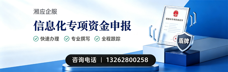 信息化专项资金申报服务
