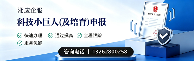 科技小巨人及培育企业申报服务