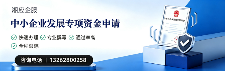 中小企业发展专项资金申报服务
