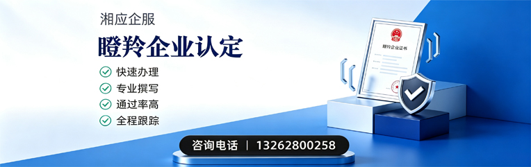 瞪羚企业认定申报服务