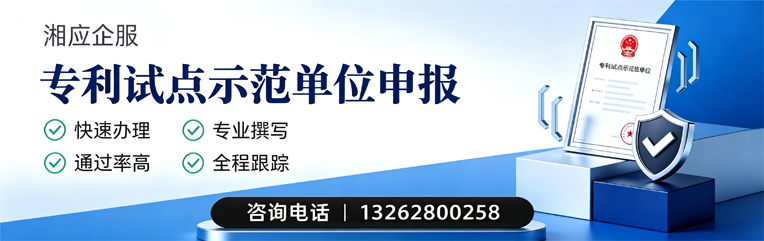 专利试点示范单位申报服务