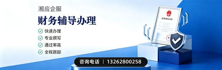 财务辅导申请服务