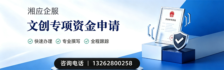 文创专项资金申报服务