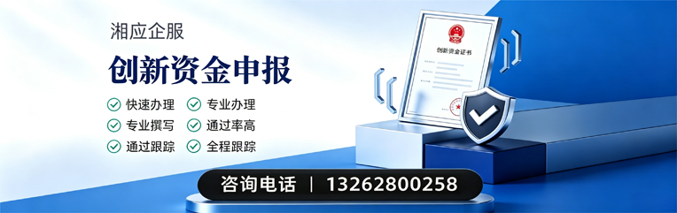 创新资金申报服务