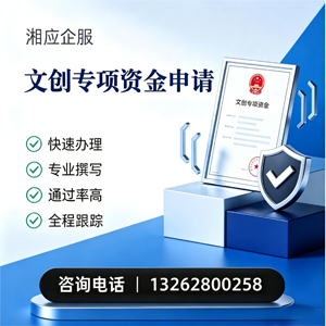 文创专项资金申报服务