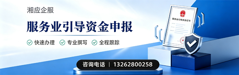服务业引导资金申报服务