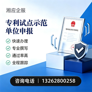 专利试点示范单位申报服务