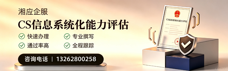 CS信息系统化能力评估申报服务