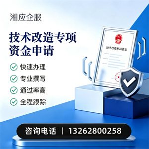 技术改造专项资金申报服务