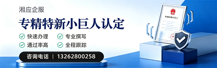 专精特新小巨人申报服务